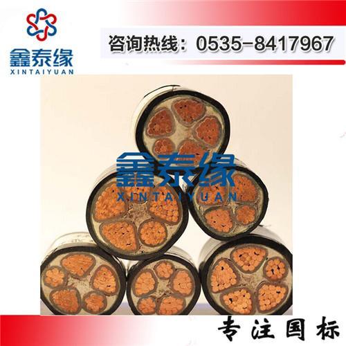 铜芯电力电缆 鑫泰缘国标品质 VV/YJV中低压电缆